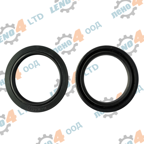 BG - oil seal 56x73.15x10