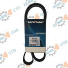 EU - V - Ribbed Belt 5PK 1210 DAYCO