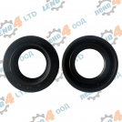 BG - oil seal 25x42x10