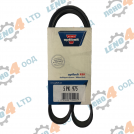 EU - V - Ribbed Belt 5PK 975 OPTIBELT