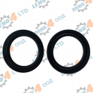 BG - oil seal 36x47x7