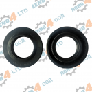 BG - oil seal 25x42x10//2