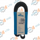 EU - V - Ribbed Belt 6PK 1830 DAYCO