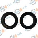 BG - oil seal 22x32x7