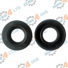 BG - oil seal 22x42x10