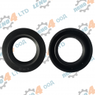 BG - oil seal 32x52x10