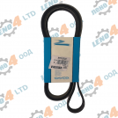 EU - V - Ribbed Belt 5PK 2030 DAYCO