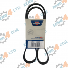 EU - V - Ribbed Belt 4PK 1005 OPTIBELT