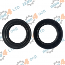 BG - oil seal 40x60x10