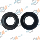 BG - oil seal 30x55x10