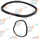 EU - BELT 9.5X813 NOTCHED