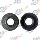 BG - oil seal 20x42x10